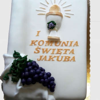 Komunie i chrzciny 16